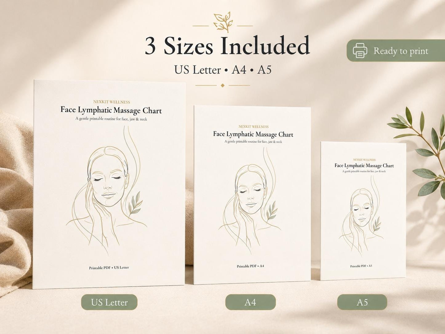 Face Lymphatic Massage Chart Printable, Facial Massage Routine, Face Massage Guide, Self Care Wellness Planner, Morning Evening Routine PDF
